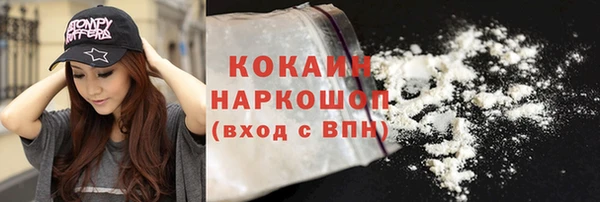 spice Снежногорск
