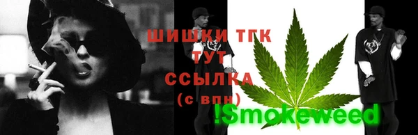 ECSTASY Лагань