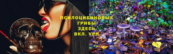 дурь Ладушкин