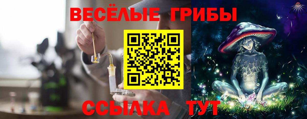 закладки  Вход с VPN  Галлюциногенные грибы Magic Shrooms  Кириши  Галлюциногенные грибы Magic Shrooms 